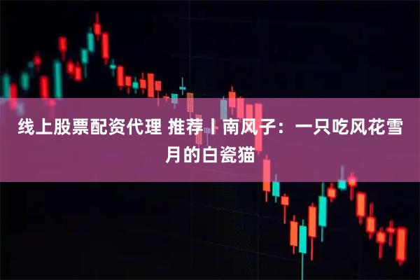 线上股票配资代理 推荐丨南风子：一只吃风花雪月的白瓷猫
