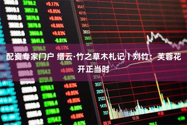 配资专家门户 缙云·竹之草木札记丨刘竹：芙蓉花开正当时