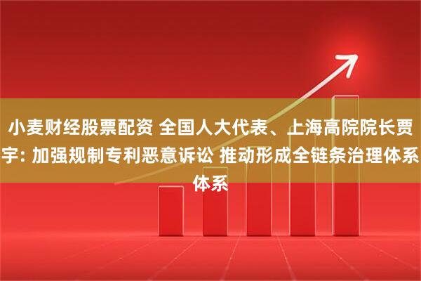 小麦财经股票配资 全国人大代表、上海高院院长贾宇: 加强规制专利恶意诉讼 推动形成全链条治理体系