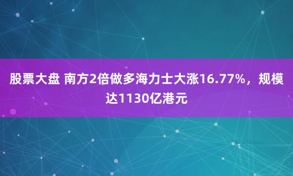 股票大盘 南方2倍做多海力士大涨16.77%，规模达1130亿港元